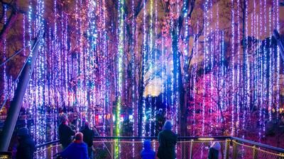 PHOTOS: 'Garden Lights, Holiday Nights' at the Atlanta Botanical Gardens