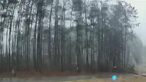 Ring camera video shows tree falling into yard in a Coweta County neighborhood