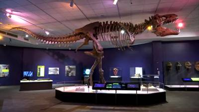 See, interact with dinosaurs like never before at Fernbank’s newest exhibit