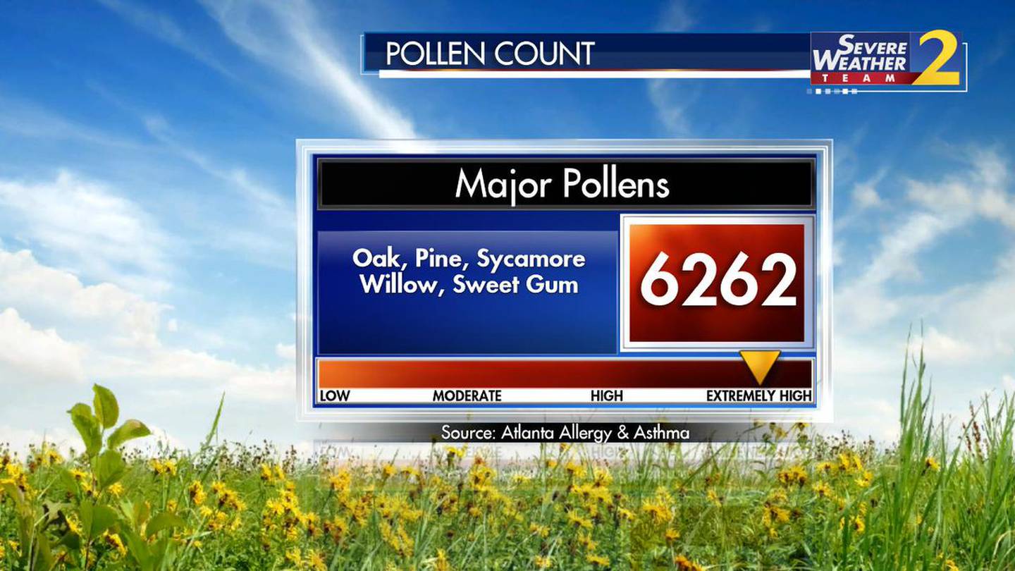 Friday's pollen count was the HIGHEST metro Atlanta has seen in 6 years