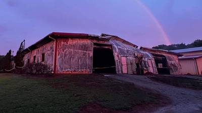26 horses die in Forsyth County barn fire, officials say