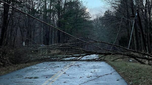 Over 27K without power as strong winds, snow brings down trees and powerlines