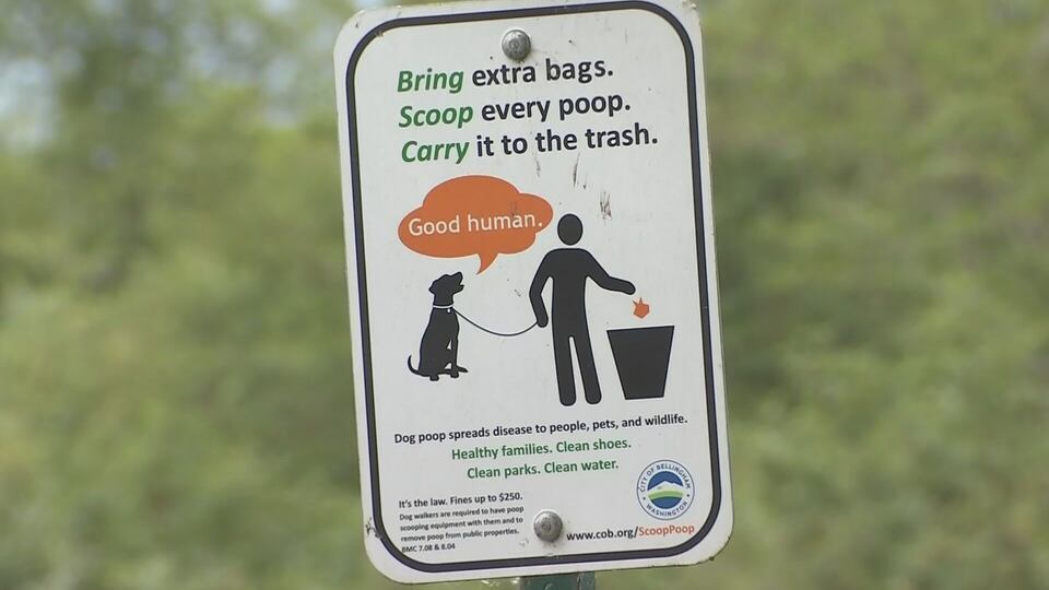 Spotted: more progress in the battle against dog poop