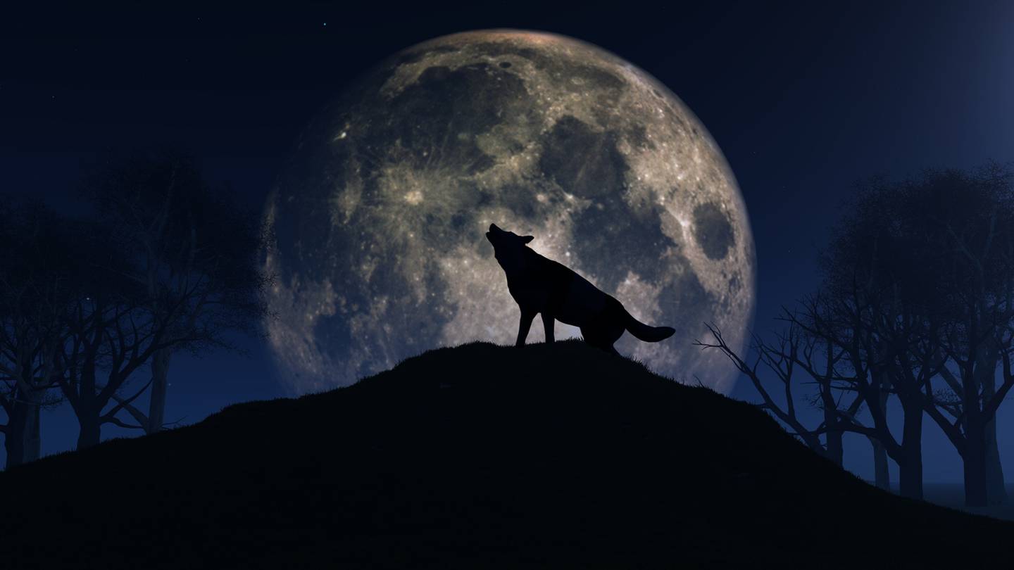 Wolf Moon First full moon of 2024 to shine bright this week WSBTV