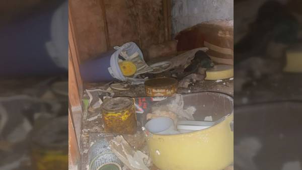 Family says they’ve been living in rental home with mold, trash behind walls for years