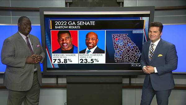 How did different sections of Georgia vote in the 2022 midterm elections?