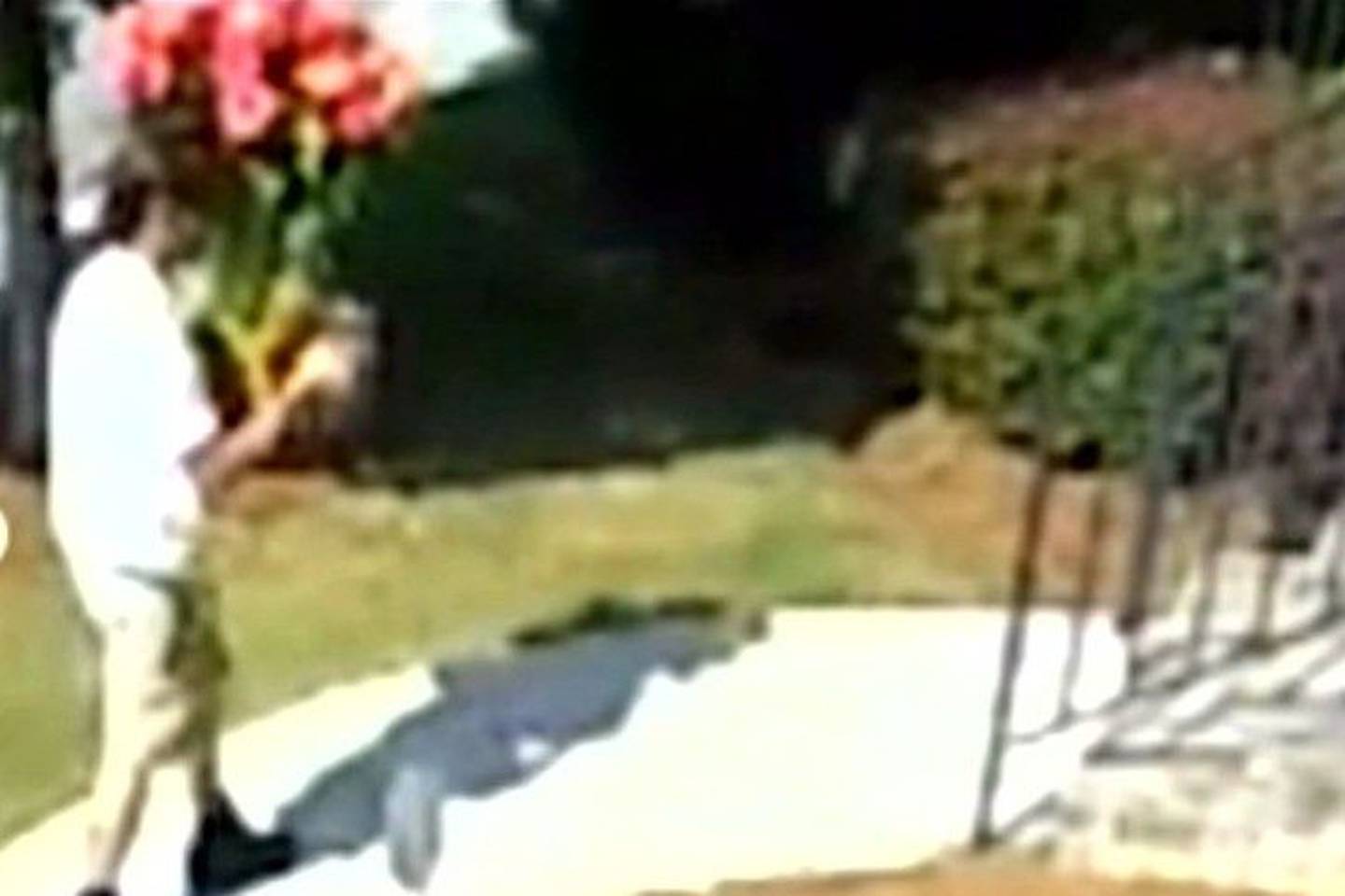 Woman says fake flower deliveryman attacked her