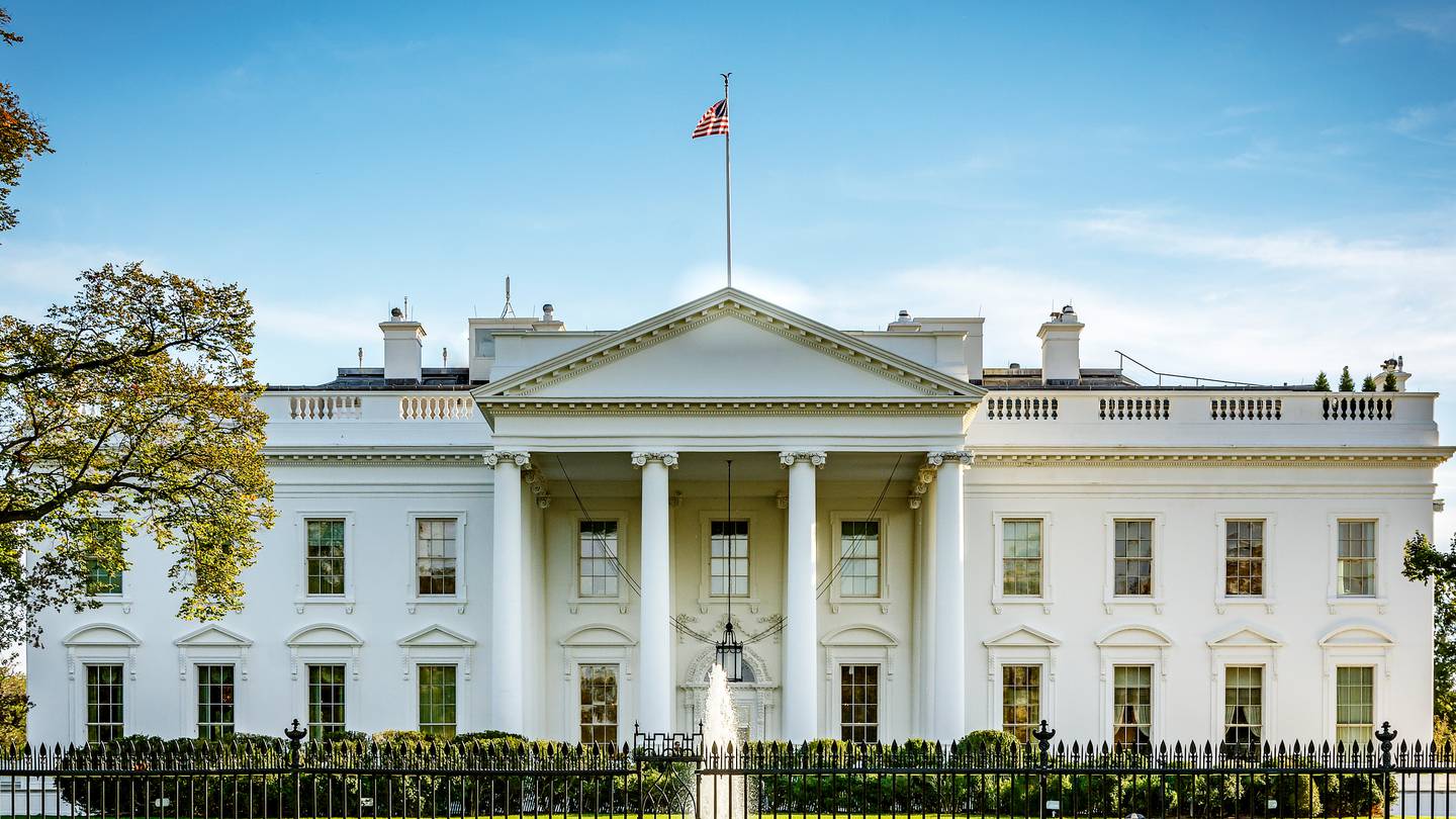 White House Gate Crash
