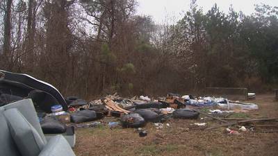 Property owner agrees to clean up illegal dumping site in DeKalb neighborhood