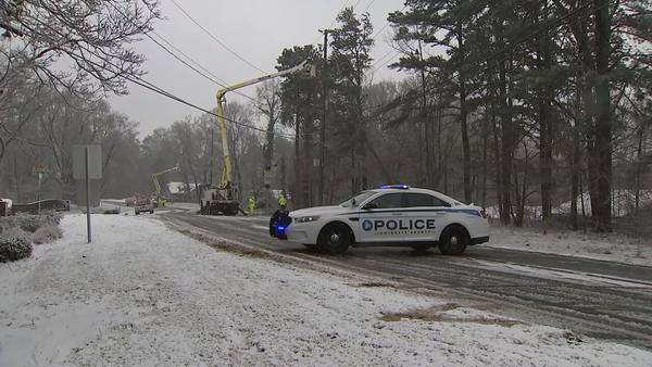Tree snaps along Gwinnett County road and takes out power transormer