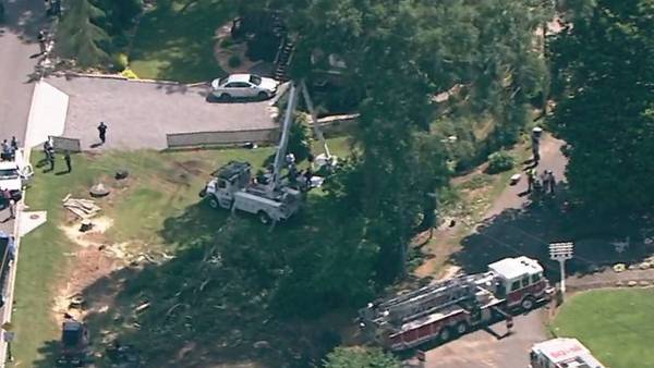 Man electrocuted, killed while cutting down trees in Acworth