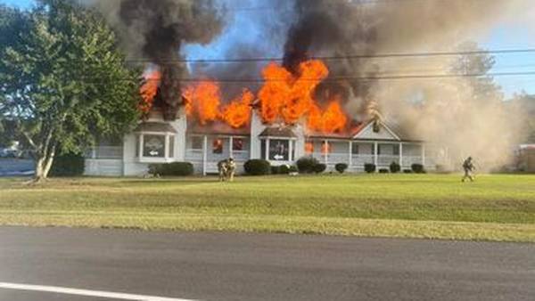 Popular Georgia bakery, other businesses go up in flames