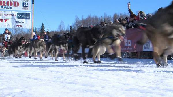 After nearly dying last year, Atlanta man returns to mush in iconic Iditarod race