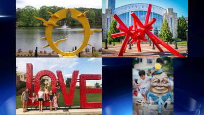 City of Suwanee receives $100,000 donation for public art campaign