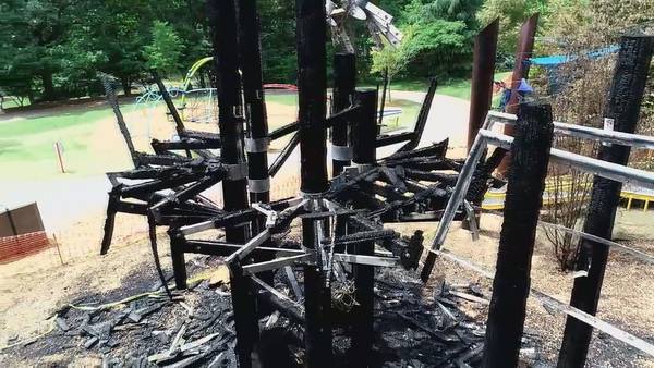 Fire destroys popular tree house in Chastain Park