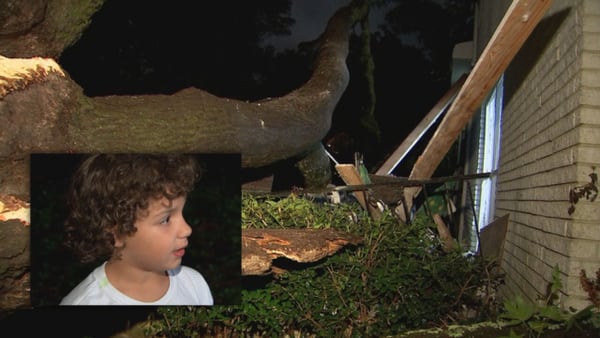 ‘Just started screaming:’ Dad pulls 7-year-old son from bedroom after tree crashes through roof