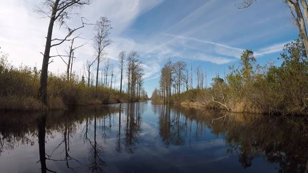 Could titanium dioxide mining impact the Okefenokee Swamp? Here’s what we’ve learned -- part 2