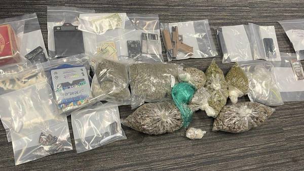 2 men arrested on multiple drug and weapons charges by South Fulton police