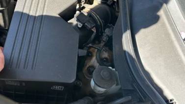 Good work! Marietta fire crews rescue dog trapped inside car engine