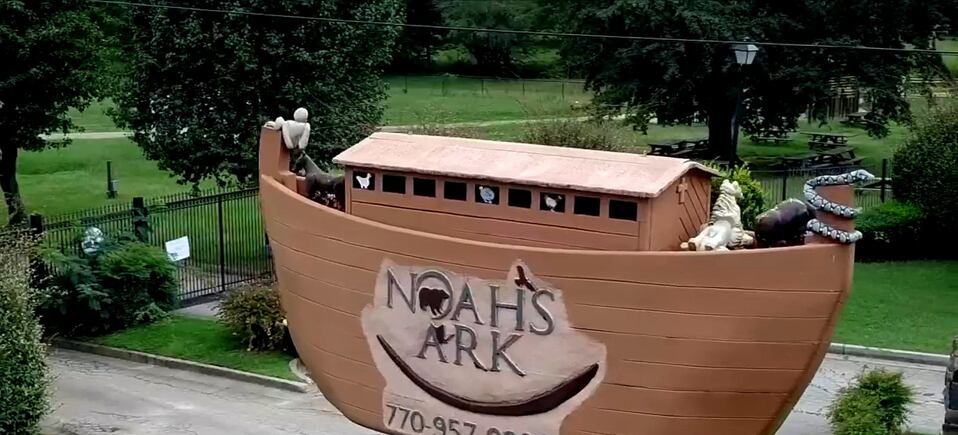 Noah's ark sales cat rescue