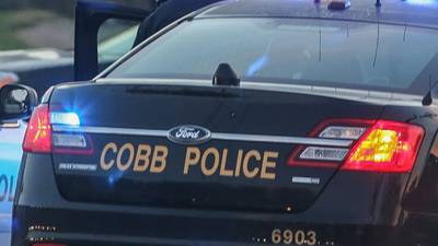 Suspect identified in theft of car with service dog in Cobb County