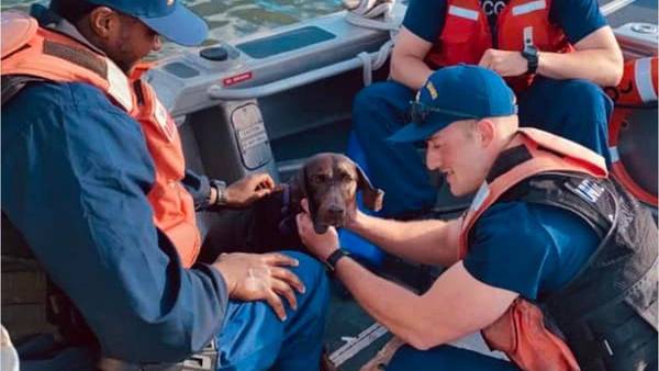 Watch: US Coast Guard rescue dog from water off North Carolina