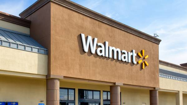 GA woman says ‘I can explain,’ as deputies find dead animals inside SUV parked at Walmart