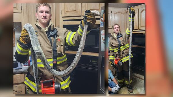 Sssmoking hot: Snake slithers under the stove, starting fire at metro Atlanta home