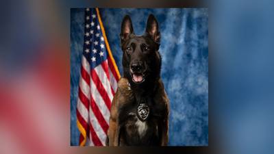 A job well done! Marietta K-9 retires after 7 years of service