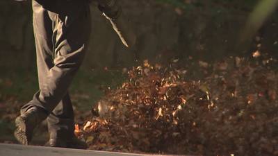 Atlanta neighbors push to ban ‘noisy’, ‘pollution-spewing’ gas-powered leaf blowers