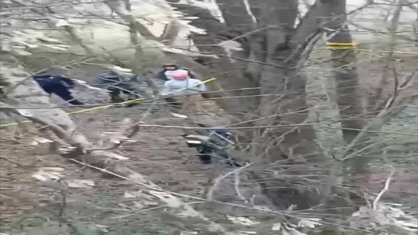 APD ‘cop city’ training facility protestors forcibly removed from trees