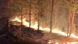 2 teenagers accused of starting forest fire to hide contraband, Ga. sheriff says
