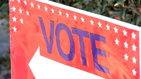 Fulton County fires 2 poll workers after concerns over social media posts