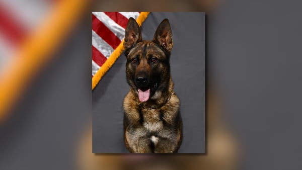 Roswell police announce K-9 passes away after brief battle with cancer
