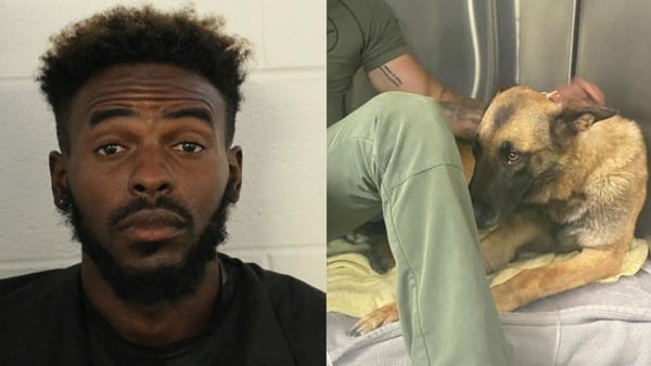 Man wanted in 2 metro counties accused of shooting Bartow K9, remains on the run, deputies say