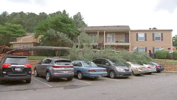 Forceful wind uproots tree at DeKalb County apartment complex