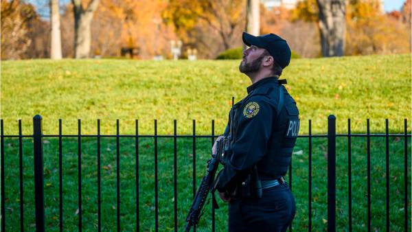 Lockdown at White House: Birds, not aircraft caused brief panic in Washington