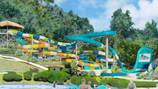 Georgia’s first ‘waterslide coaster’ to open at Lake Lanier this spring