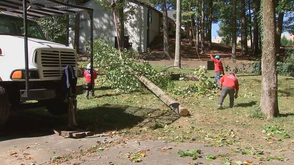 Homeowners removing dying trees ahead of Hurricane Ian