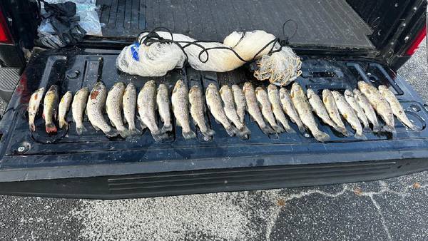 Person charged with illegal fishing in north GA mountains