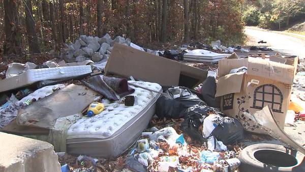 South Fulton officials working to address illegal dumping concerns in neighborhood