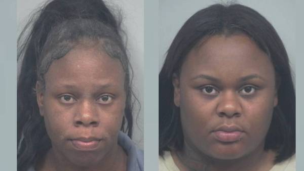 2 arrested for felony shoplifting in Gwinnett Co., had 6 outstanding warrants between them