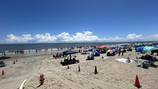 Lifeguards spot 10-foot shark feeding close to Tybee Island shore, clear the water