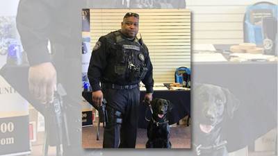 K9 handler removed from unit after animal cruelty investigation