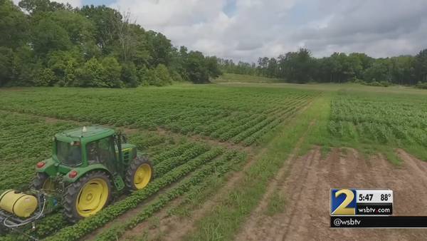Robots and drones: Are they the future of Georgia farming?