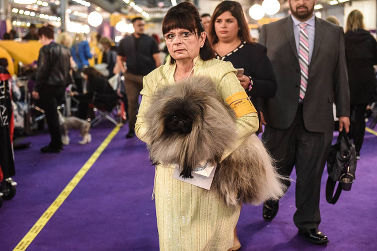 Westminster Dog Show 2020 See the best in show, group winners WSBTV