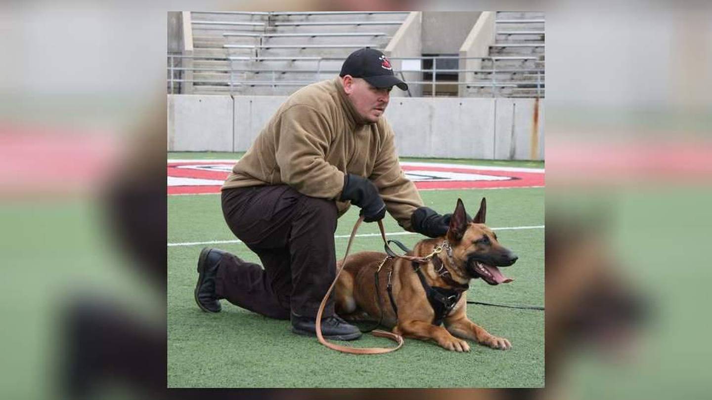 deputy who fatally shot K9 partner resigns after unrelated
