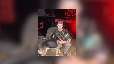 Missing K-9 home safe in Carroll County