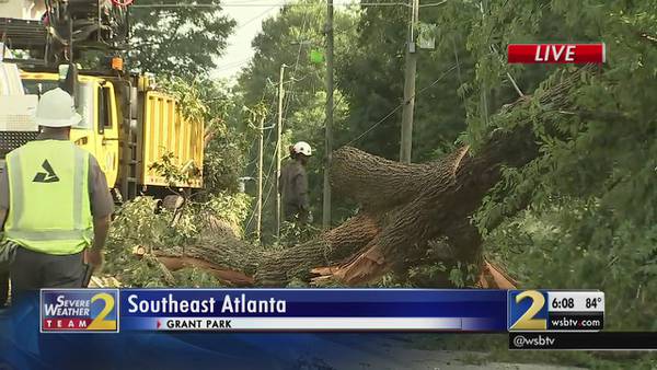 Storms leave damage behind in metro Atlanta