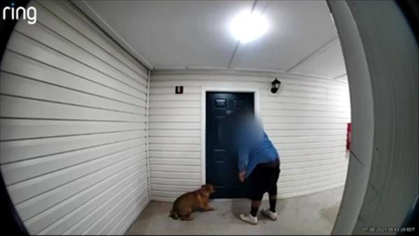 Video showing man verbally, physically abusing dog angers Cobb residents